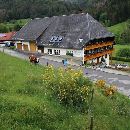 Ferienwohnung Talblick 托特莫斯 外观 照片