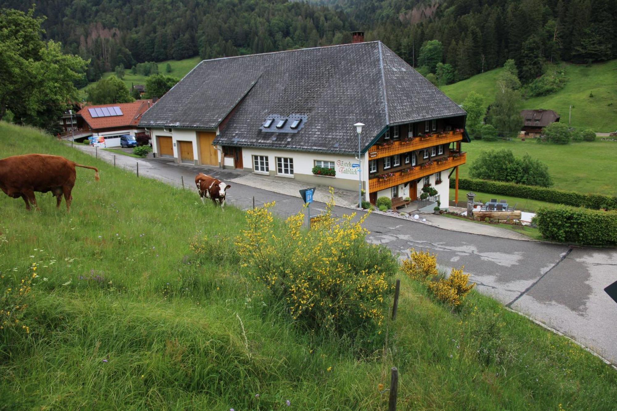 Ferienwohnung Talblick 托特莫斯 外观 照片