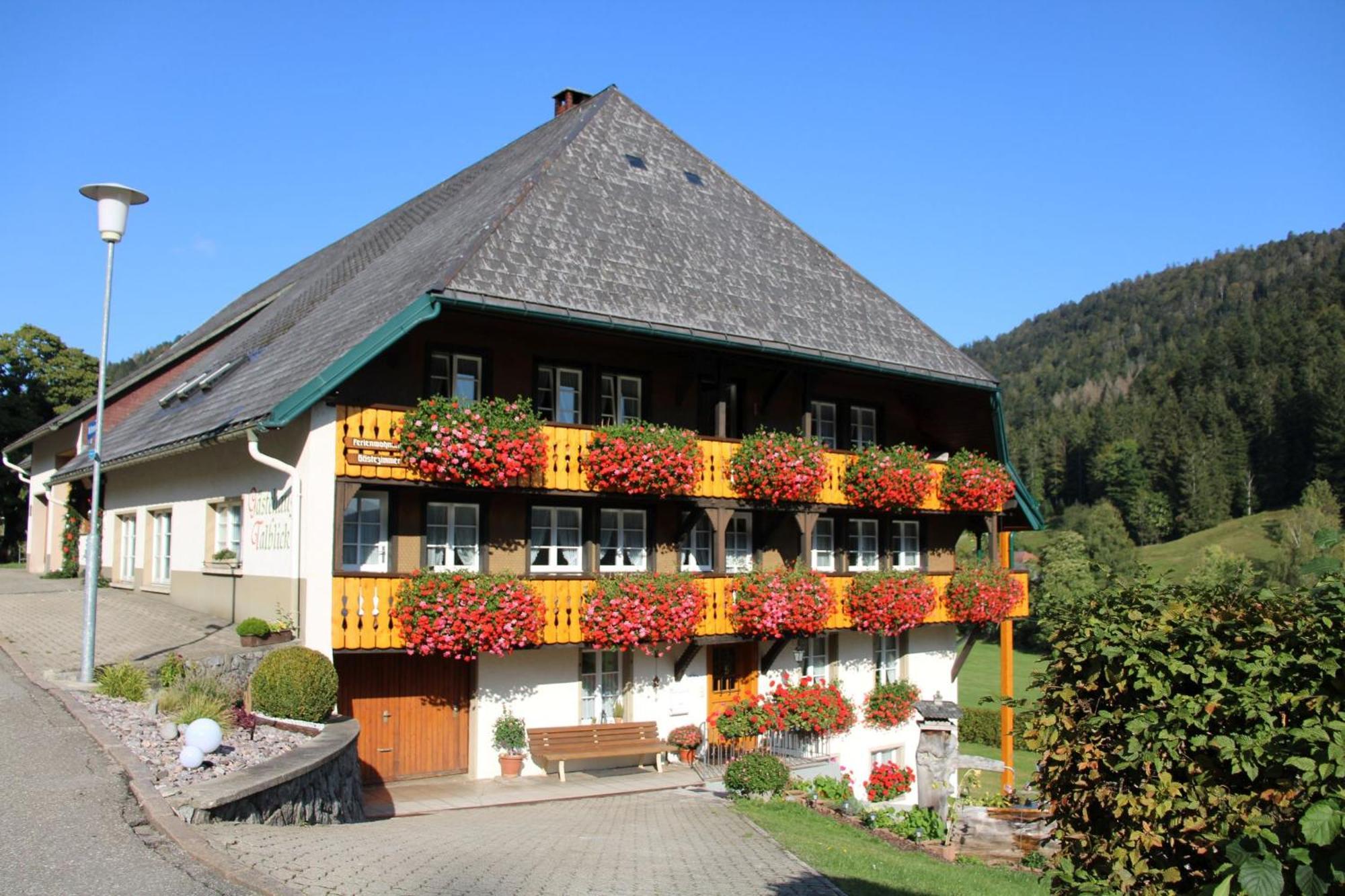 Ferienwohnung Talblick 托特莫斯 外观 照片