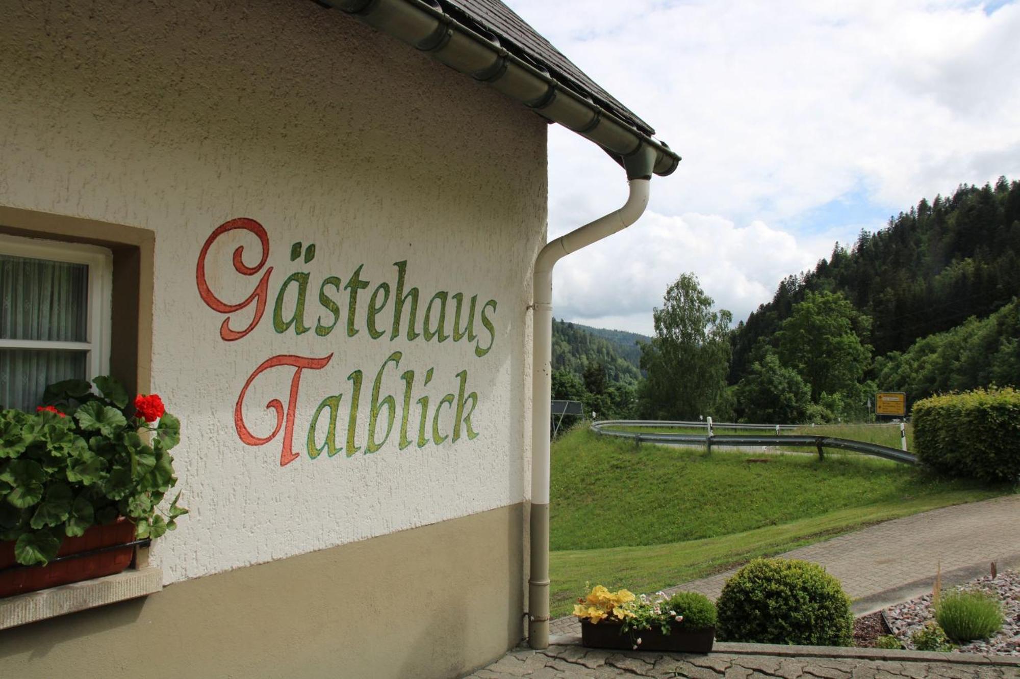 Ferienwohnung Talblick 托特莫斯 外观 照片